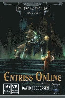 Entriss Online 1