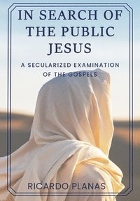 bokomslag In Search of the Public Jesus: A Secularized Examination of the Gospels