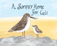 bokomslag A Summer Home for Cali