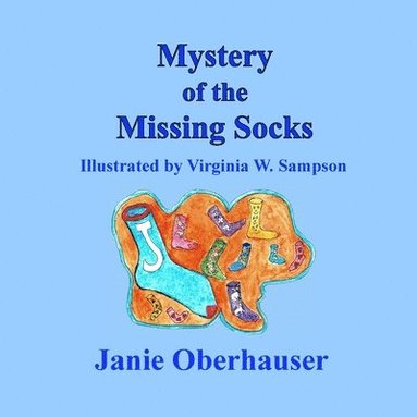 bokomslag Mystery of the Missing Socks