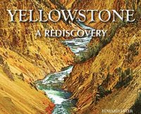 bokomslag Yellowstone - A Rediscovery