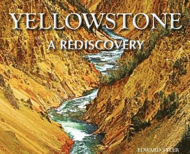 bokomslag Yellowstone - A Rediscovery