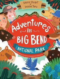 bokomslag Adventures in Big Bend National Park