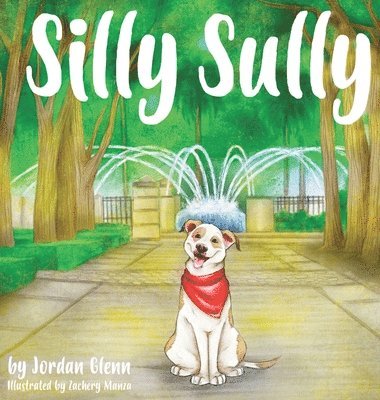 bokomslag Silly Sully