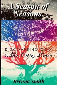 bokomslag A Season of Seasons: Discovering God within Every Storm