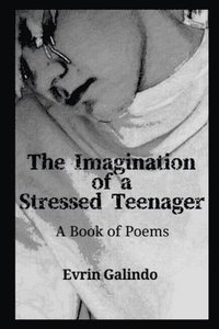 bokomslag The Imagination of a Stressed Teenager: A Book of Poems