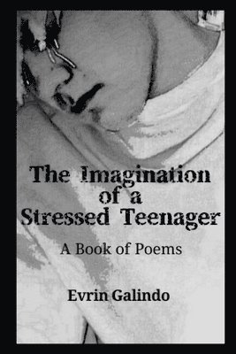 The Imagination of a Stressed Teenager: A Book of Poems 1