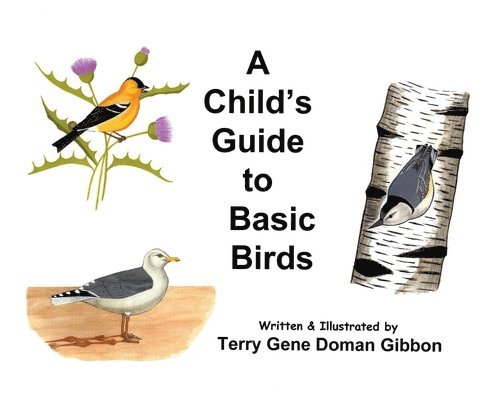 Terry G. D. Gibbon, Terry G D Gibbon - A Child's Guide to Basic Birds, Inbunden