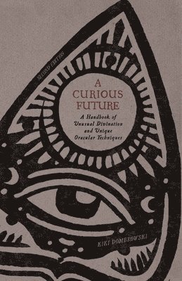bokomslag Curious Future