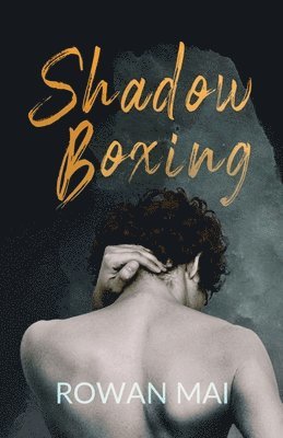 bokomslag Shadowboxing