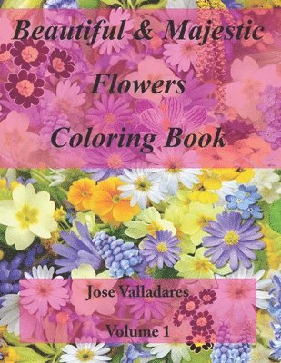 Jose Valladares - Beautiful & Majestic Flowers Coloring Book, Häftad