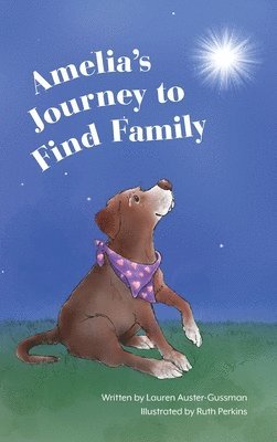 Amelia's Journey to Find Family