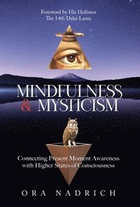 bokomslag Mindfulness and Mysticism