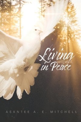 Living Without In Peace: How to Properly Grieve 1