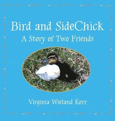 bokomslag Bird and SideChick