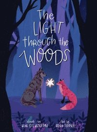bokomslag The Light Through The Woods