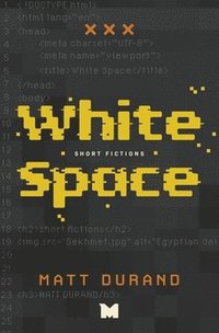 bokomslag White Space: Short Fictions