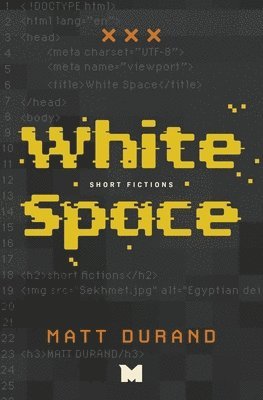 bokomslag White Space: Short Fictions