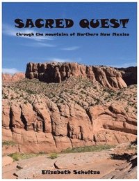 bokomslag Sacred Quest