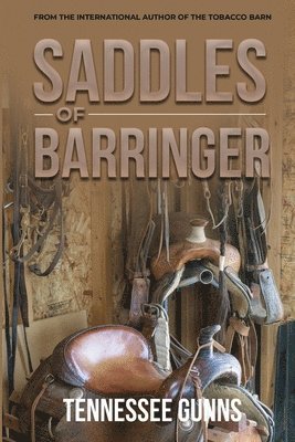 Saddles of Barringer 1