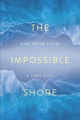 bokomslag Impossible Shore