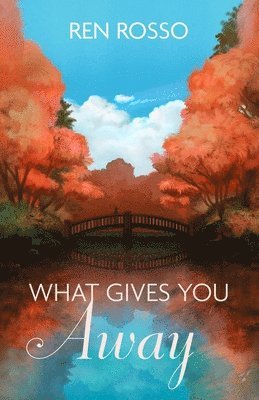 bokomslag What Gives You Away