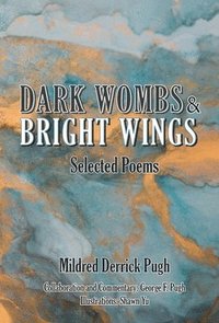 bokomslag Dark Wombs and Bright Wings