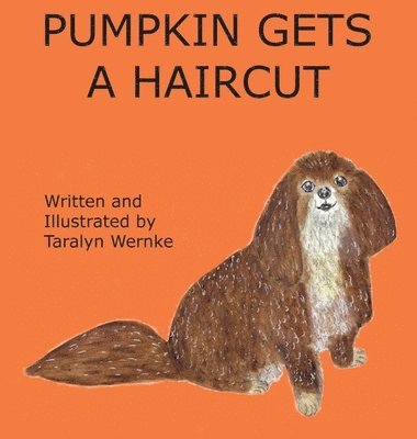 Pumpkin Gets a Haircut 1