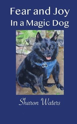 Fear and Joy in a Magic Dog 1