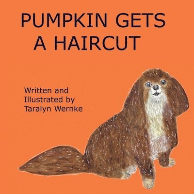 Pumpkin Gets a Haircut 1