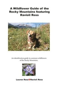 bokomslag A Wildflower Guide of the Rocky Mountains featuring Ravioli Ross: An identification guide to common wildflowers of the Rocky Mountains.