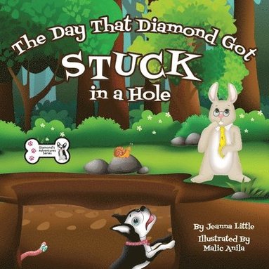 bokomslag The Day That Diamond Got Stuck in a Hole