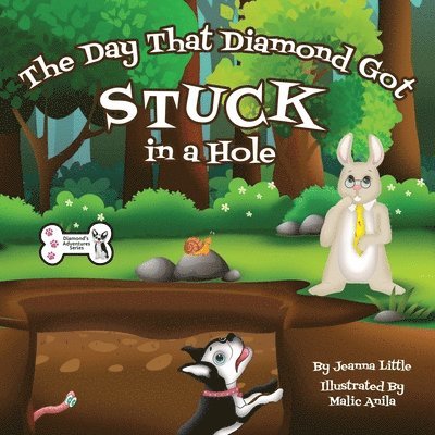 Jeanna Little - Day That Diamond Got Stuck in a Hole, Häftad