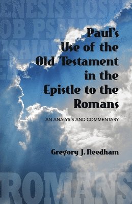 bokomslag Paul's Use of the Old Testament in the Epistle to the Romans