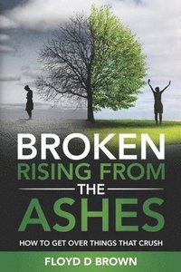 bokomslag Broken - Rising from the Ashes