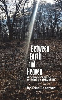 bokomslag Between Earth and Heaven...a beginners guide to a spiritual life