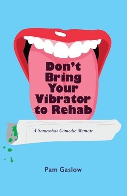 Pam Gaslow - Don't Bring Your Vibrator to Rehab, Häftad