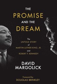 bokomslag The Promise and the Dream