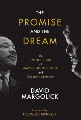 bokomslag The Promise and the Dream