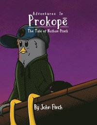 bokomslag The Tale of Nathan Pluck