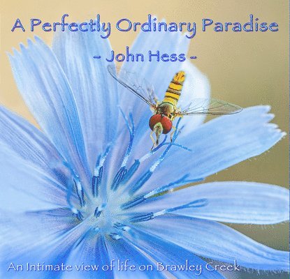 Perfectly Ordinary Paradise 1