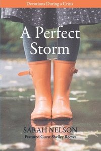 bokomslag A Perfect Storm