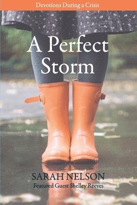 Sarah Nelson - Perfect Storm, Häftad