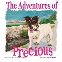 bokomslag The Adventures of being Precious