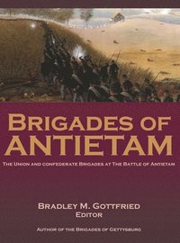 bokomslag Brigades of Antietam