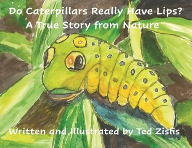 bokomslag Do Caterpillars Really Have Lips?: A True Story From Nature