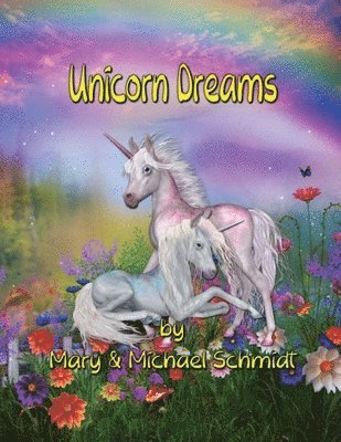 bokomslag Unicorn Dreams