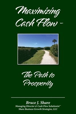 bokomslag Maximizing Cash Flow - The Path to Prosperity