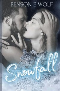 bokomslag Snowfall