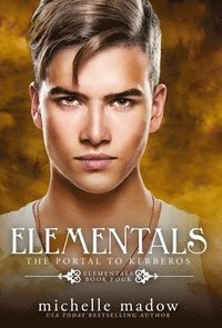 bokomslag Elementals 4